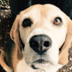 Meet your Posher, Glowy